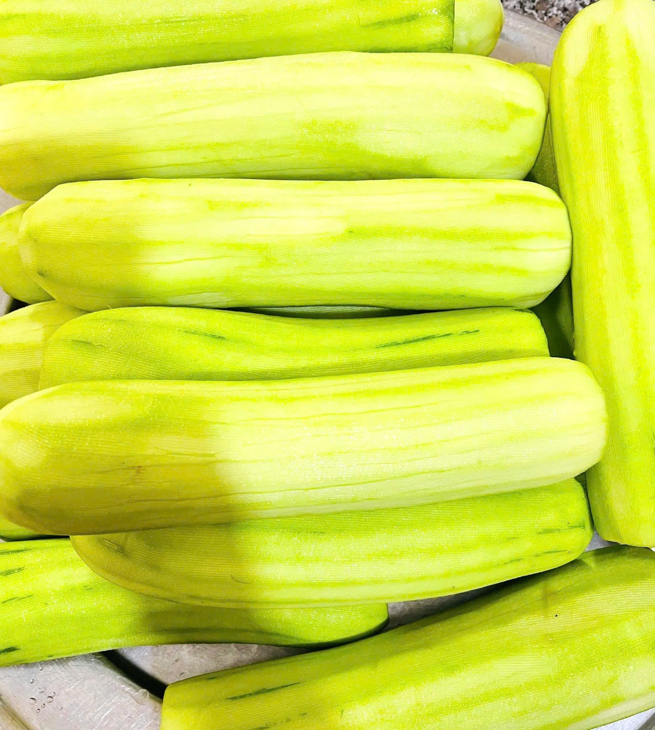 z7362626442663 4ef1d8fb3ccc2b9721068b5d163093eb