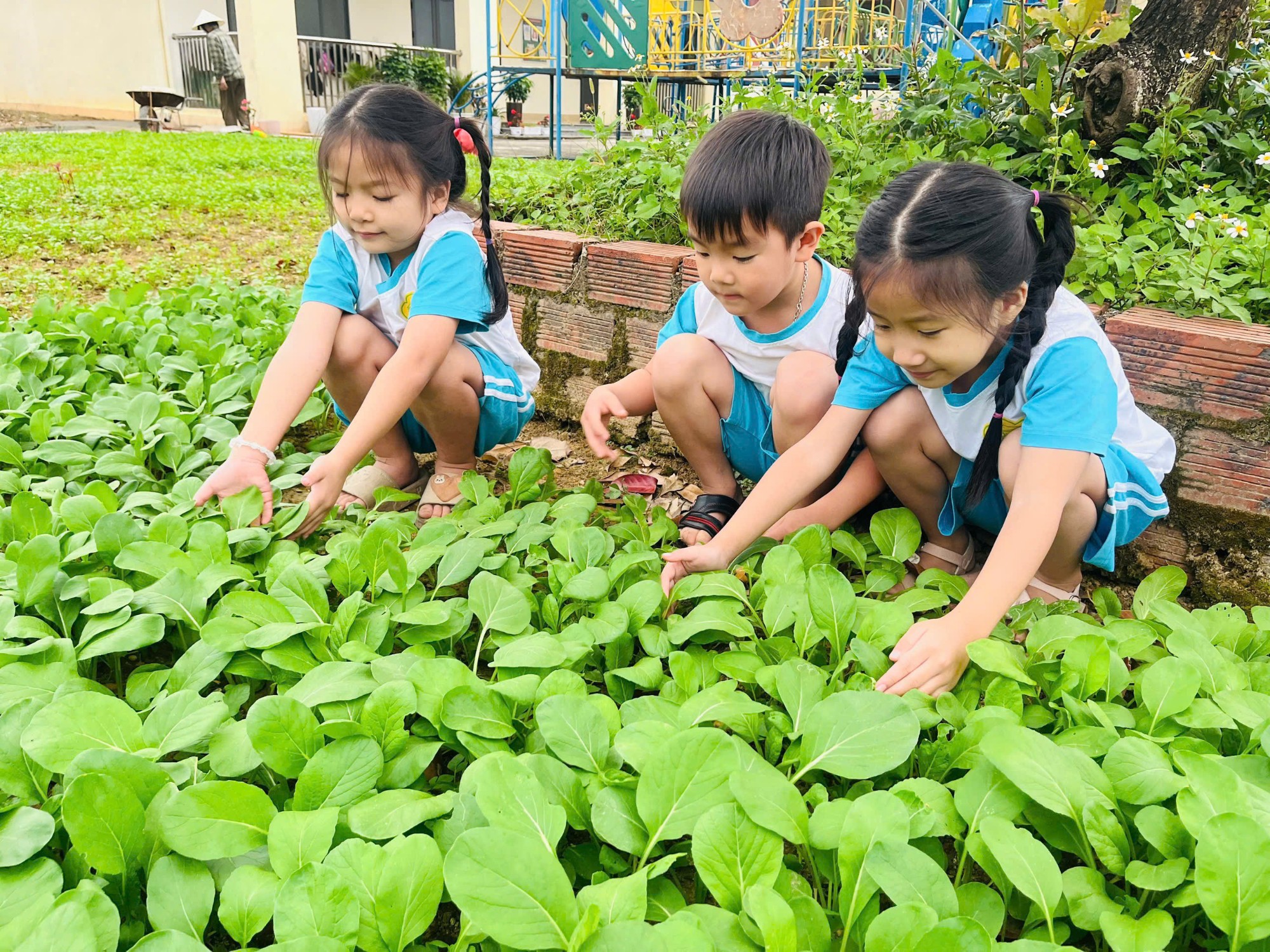 z7469498869702 1b82a9dc078d277424b7384cbed7aceb