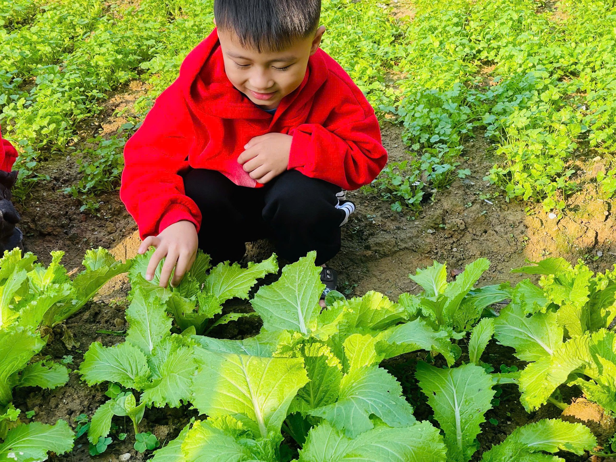 z7469498896764 8f3a0ecb4e25adb16fc3e5379ebcf97d