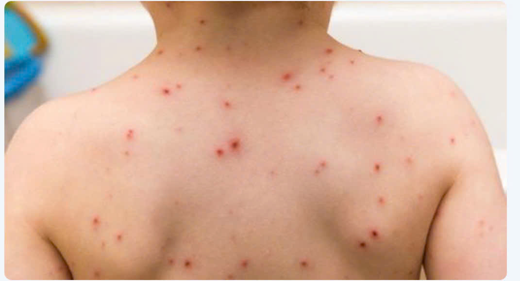 z7686435236345 1327247c4e4f57d6223bf250976eb101