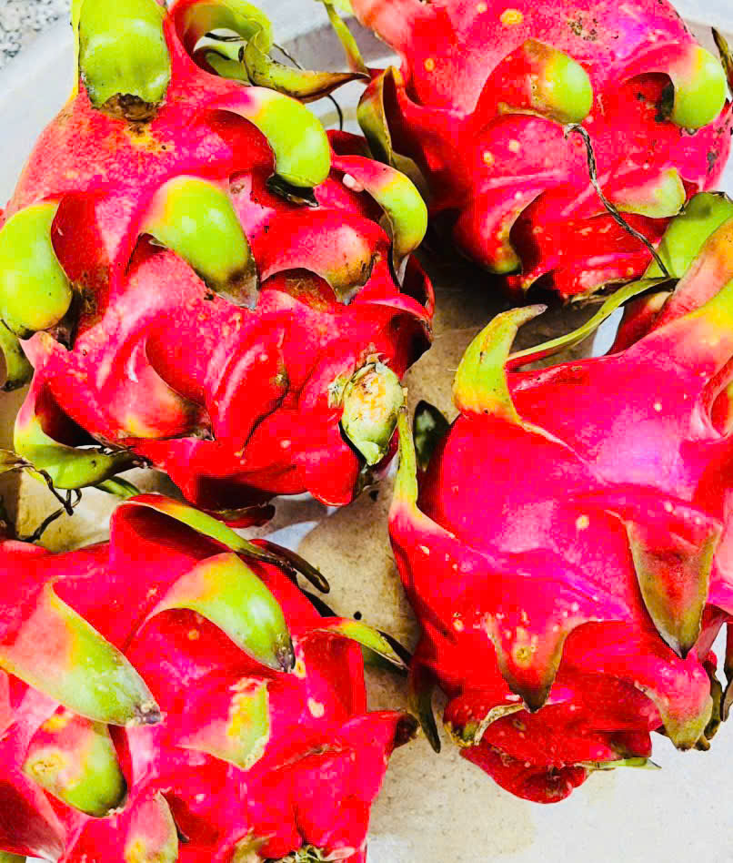 z7362626451418 db8f7270486f260c65efc4a1855f0df6