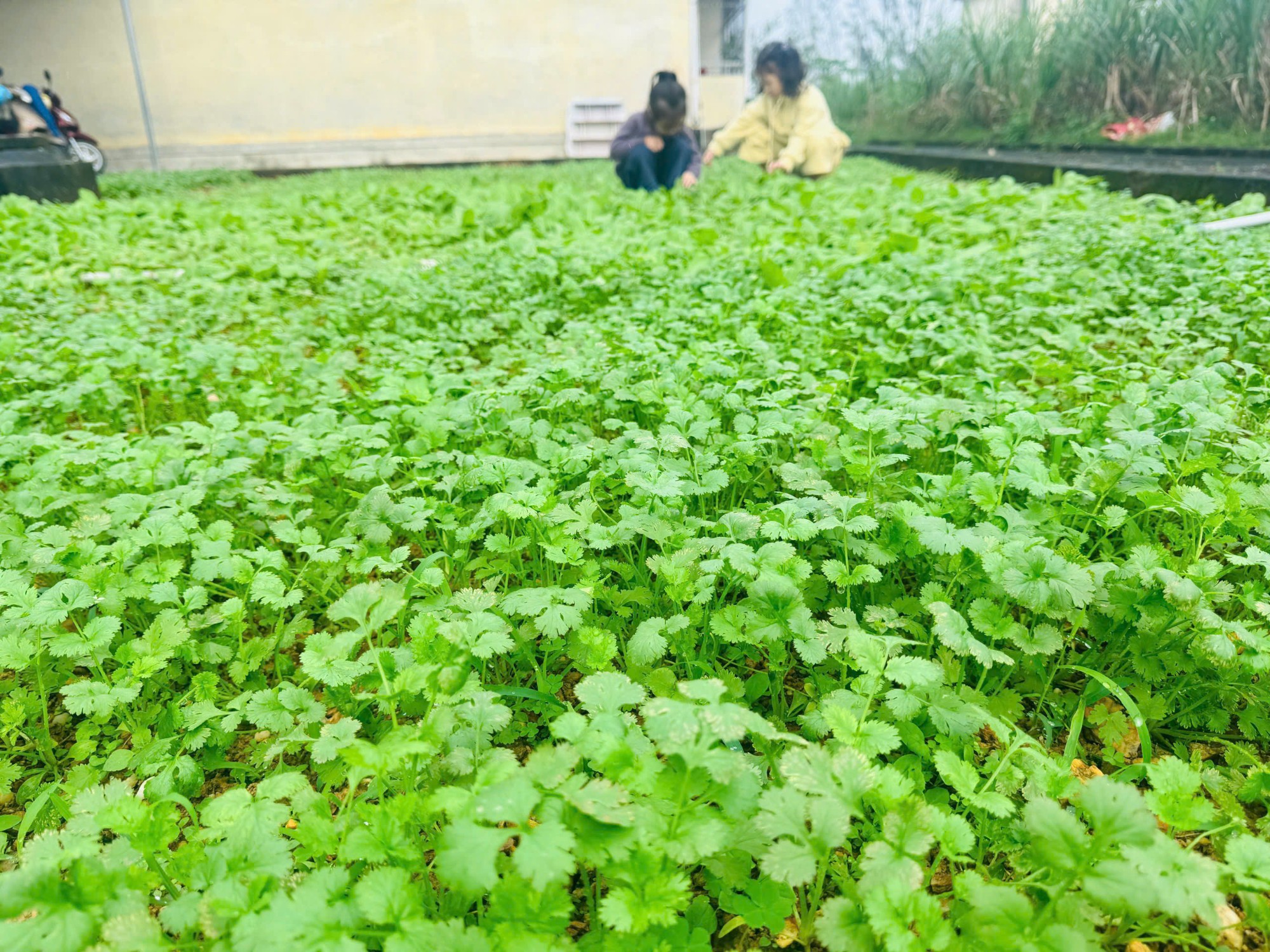 z7469498888380 99444fe1d499ca8fa27df87eefb21ad1