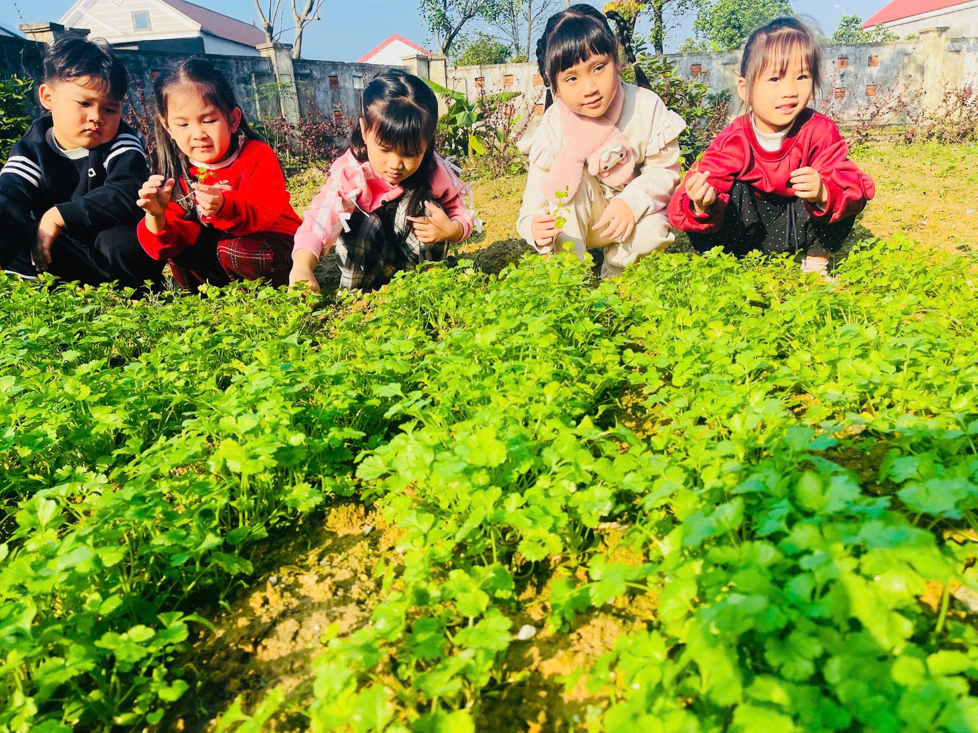 z7469498902457 7e01d82816ea83397b051156e726d525