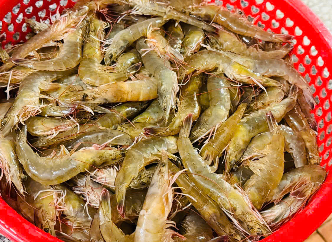 z7469539950616 e6b5accb35e42e0e971f28ba5e155503