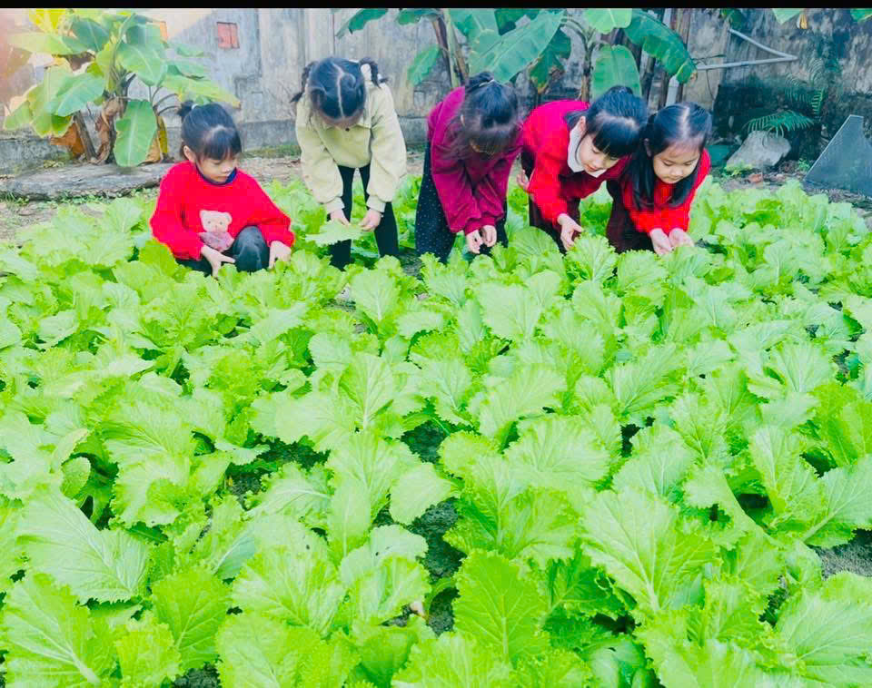 z7469868586535 dff06e8904009ab0c8f4d9fe4e34703a