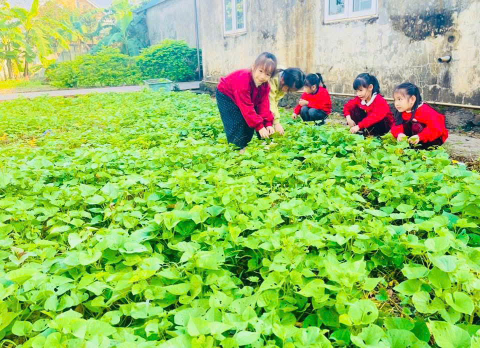 z7469868605041 f0680613fa44190324264eead1102887