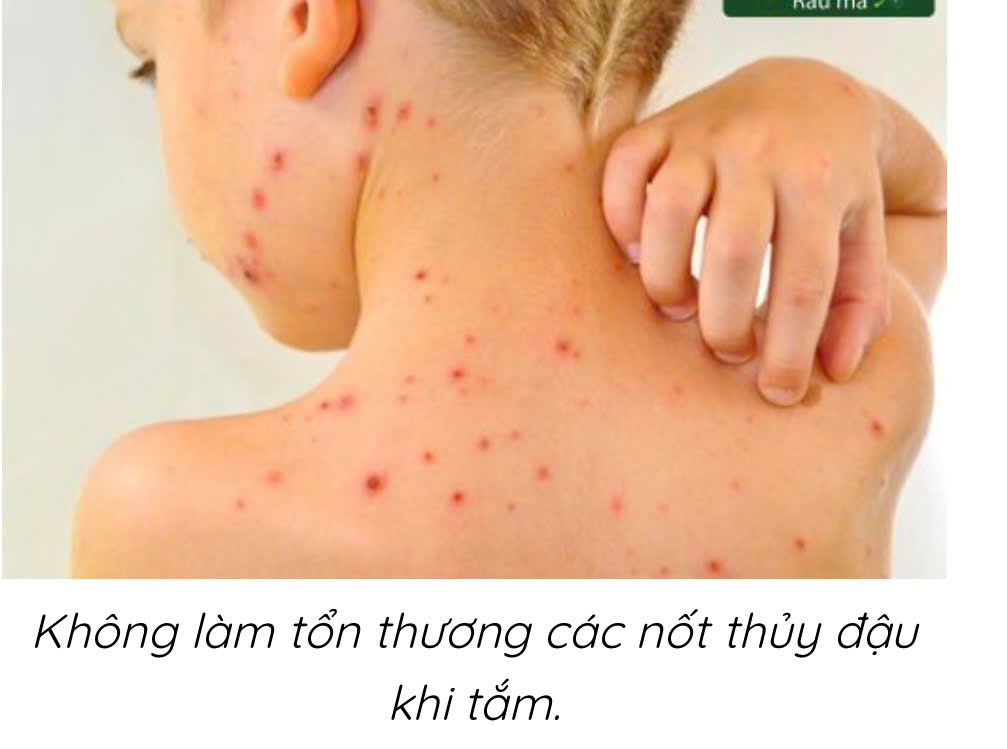 z7686471472400 10e3ba274cff7c8d93fa004ca6fbf376